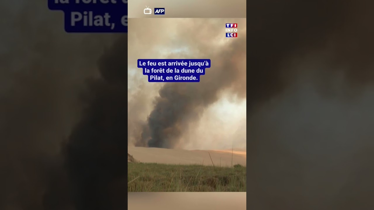 Incendies en Gironde : la dune du Pilat en proie aux flammes