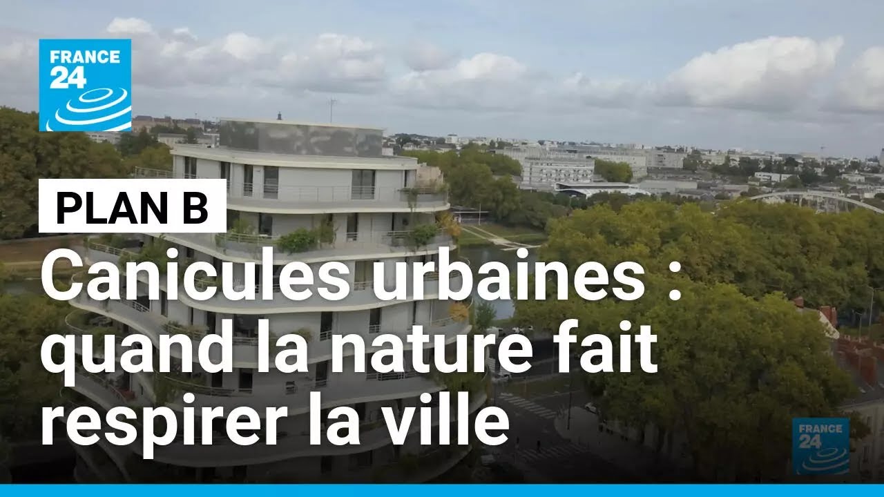Canicules urbaines : quand la nature fait respirer la ville • FRANCE 24