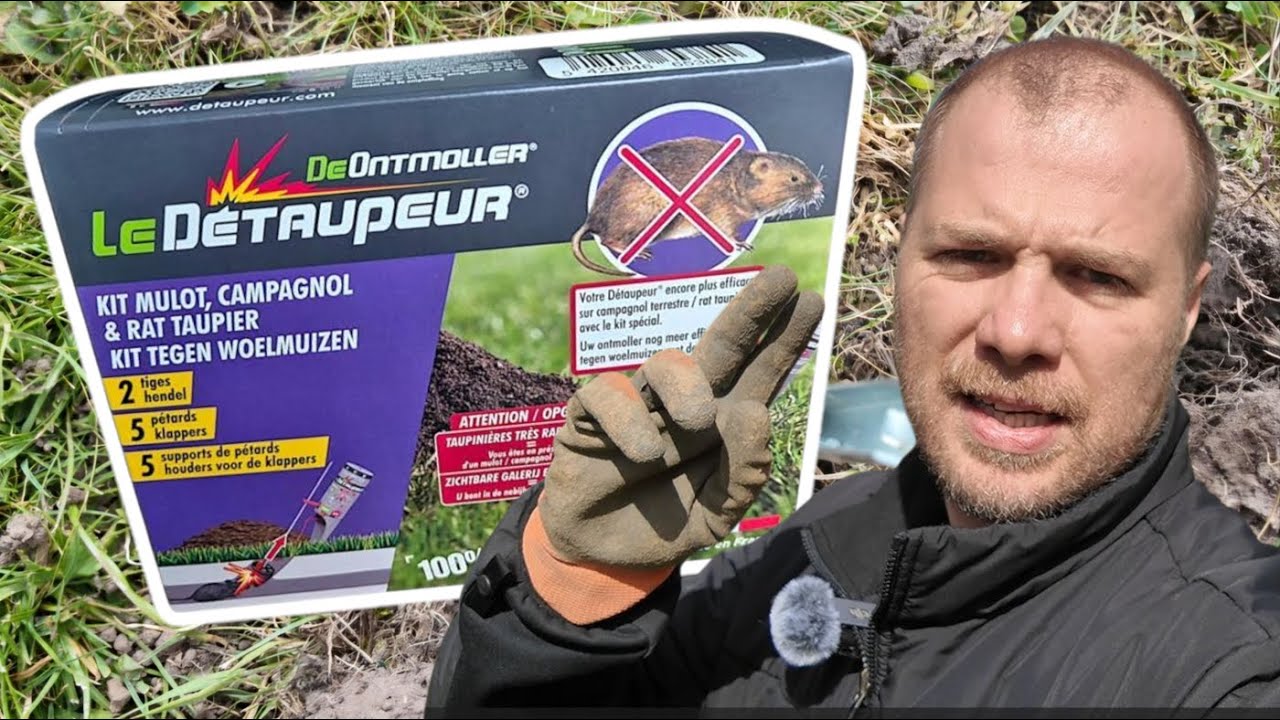 Comment se débarrasser des rats taupiers efficacement ?