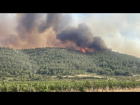 Incendie dans l’Aude : plus de 430 pompiers mobilisés près de la commune de Ribaute