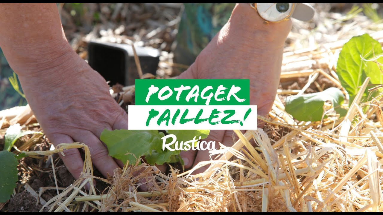 Comment pailler son potager
