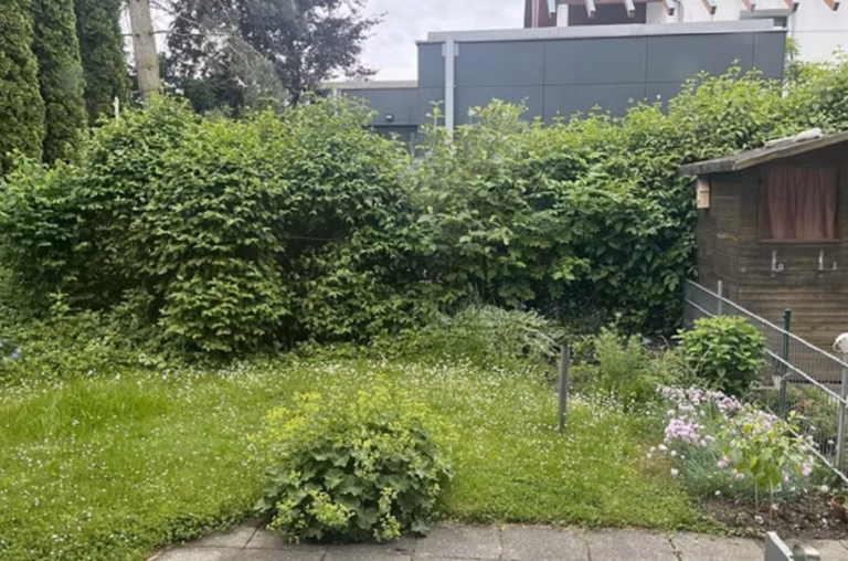 Tentative d&rsquo;aménagement en solo de mon jardin pour économiser : comment trois erreurs m&rsquo;ont vite fait changer d&rsquo;avis
