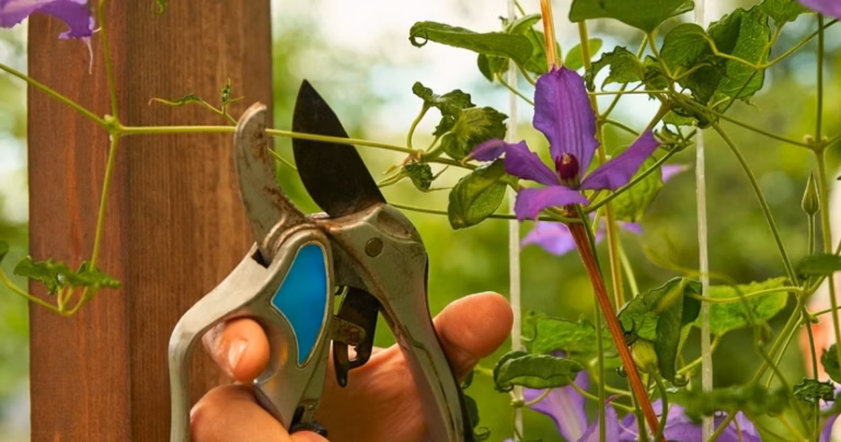 DeWalt révolutionne le bricolage et le jardinage avec ses mini-outils ultra-pratiques